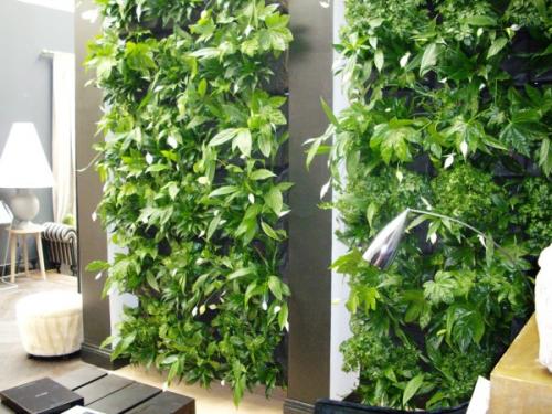 Уголок для цветов в квартире. Зимний сад в квартире (44 фото): выбор места, стиля и растений