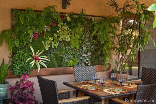 Какие цветы поставить в зале. Куда поставить цветы в квартире: советы