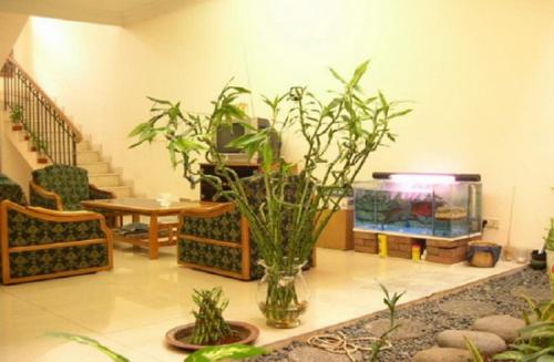 Цветы в квартире дизайн. Комнатные цветы в интерьере ванной комнаты 08 Цветы в квартире дизайн. Комнатные цветы в интерьере ванной комнаты 08