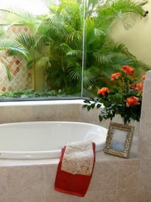 Цветы в квартире дизайн. Комнатные цветы в интерьере ванной комнаты 05 Цветы в квартире дизайн. Комнатные цветы в интерьере ванной комнаты 05