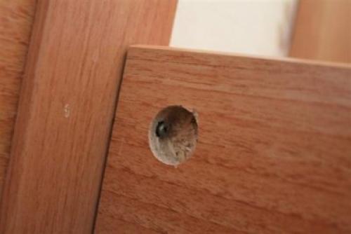 Шкаф на кухне, как называется. Изготовления шкафов —, какой материал больше всего подходит?