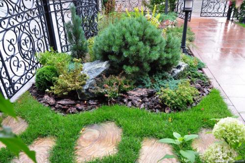 Парадная клумба перед домом. Как оформить «парадный» цветник