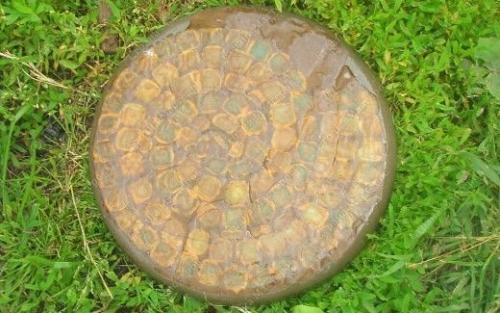 Что можно сделать из остатков плитки. Что можно сделать из битой керамической плитки для дизайна? 27