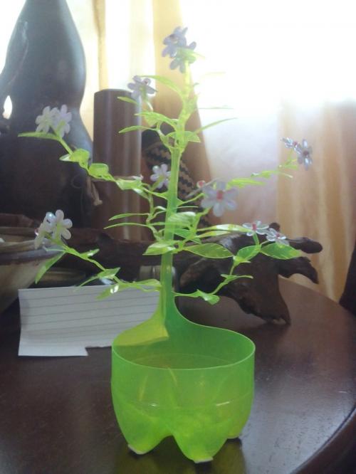 Пальма из пластиковых бутылок очумелые ручки. Поделки из пластиковых бутылок, которым позавидовал бы сам Тимур Кизяков