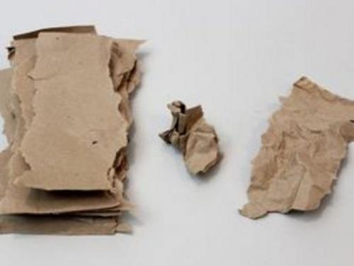 Как сделать декоративную пальму. Как сделать натуралистичную высокую и объемную пальму из бумаги