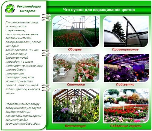 Оранжерея на даче. Создание микроклимата в оранжерее: обогрев, вентиляция, освещение