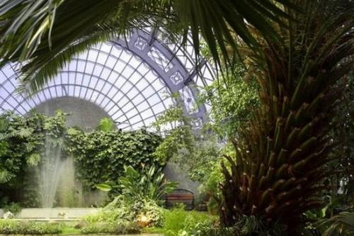 Как в квартире сделать оранжерею. Зимний сад в квартире (44 фото): выбор места, стиля и растений 03 Как в квартире сделать оранжерею. Зимний сад в квартире (44 фото): выбор места, стиля и растений 03