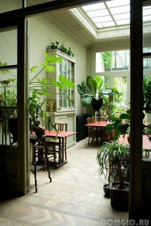 Мини оранжерея в квартире. Домашняя оранжерея - как выбрать место для ее создания