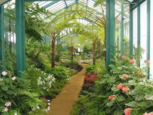 Как в квартире сделать оранжерею. Зимний сад в квартире (44 фото): выбор места, стиля и растений 05 Как в квартире сделать оранжерею. Зимний сад в квартире (44 фото): выбор места, стиля и растений 05