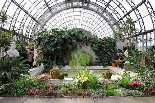 Как в квартире сделать оранжерею. Зимний сад в квартире (44 фото): выбор места, стиля и растений 02 Как в квартире сделать оранжерею. Зимний сад в квартире (44 фото): выбор места, стиля и растений 02