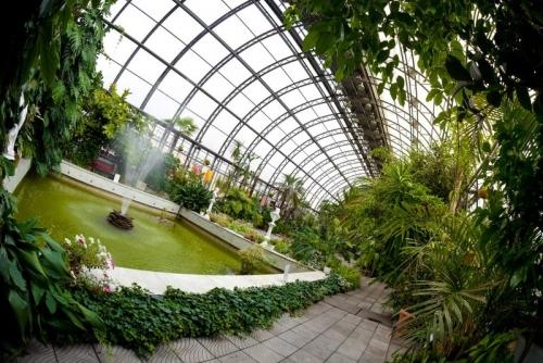 Оранжерея на даче. Создание микроклимата в оранжерее: обогрев, вентиляция, освещение