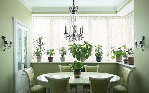 Салатовая кухня с черной столешницей. Где рекомендовано использовать цвет