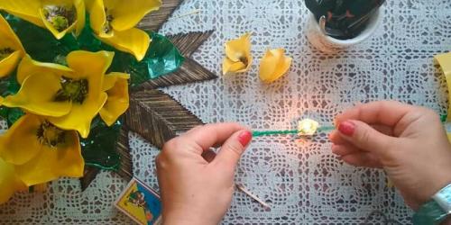 Как сделать цветок из пластиковой бутылки своими руками. Как сделать тюльпаны своими руками из ПЭТ