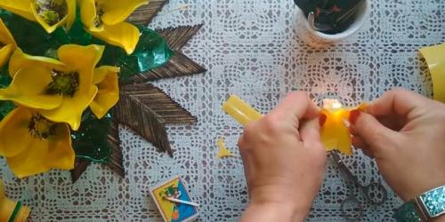 Как сделать цветок из пластиковой бутылки своими руками. Как сделать тюльпаны своими руками из ПЭТ