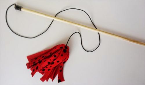 Игрушки для котов своими руками. Простые идеи отличных игрушек для котов, созданных из подручных материалов