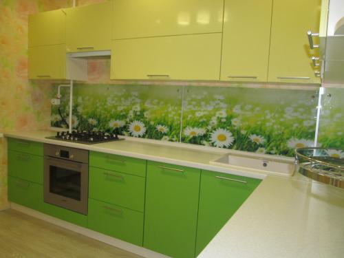 Салатовая кухня с черной столешницей. Где рекомендовано использовать цвет