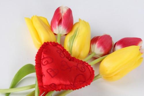 Как из пластиковой бутылки сделать цветок тюльпан. Как сделать тюльпан из пластиковых бутылок