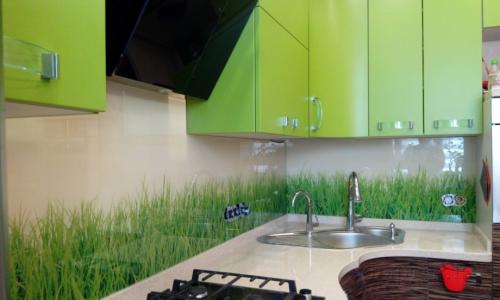 Салатовая кухня с черной столешницей. Где рекомендовано использовать цвет