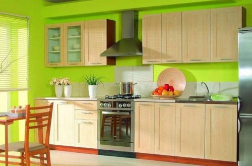 Дизайн кухни в салатовом цвете. На чем сделать акцент 24 Дизайн кухни в салатовом цвете. На чем сделать акцент 24