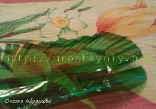 Маленькая пальма из пластиковых бутылок. Мастер-класс «Пальма из пластиковых бутылок»