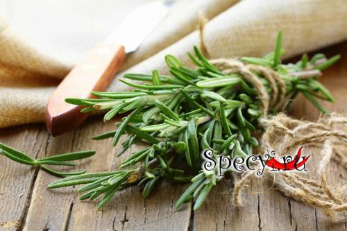 Розмарин для мяса. Розмарин