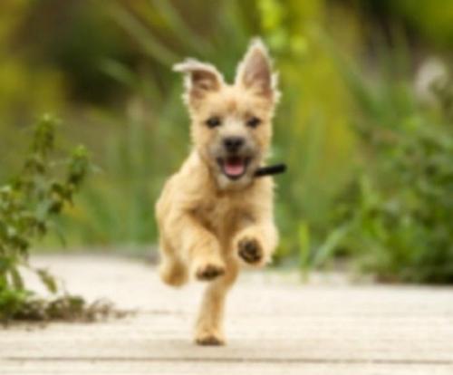 Сильное чувство голода причины. Почему появляется постоянное чувство голода: причины 08 Сильное чувство голода причины. Почему появляется постоянное чувство голода: причины 08