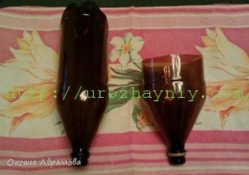 Маленькая пальма из пластиковых бутылок. Мастер-класс «Пальма из пластиковых бутылок»