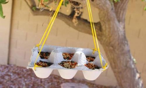 Ячейки для яиц применение. Полезное применение бумажных лотков для яиц на даче