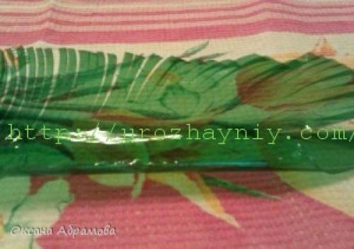 Маленькая пальма из пластиковых бутылок. Мастер-класс «Пальма из пластиковых бутылок»