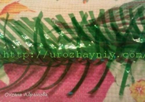 Маленькая пальма из пластиковых бутылок. Мастер-класс «Пальма из пластиковых бутылок»