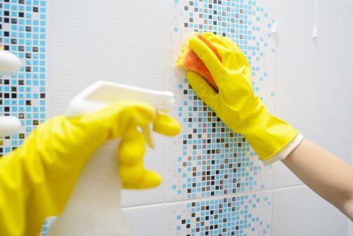 Дезинфекция ванны. Дезинфекция в ванной комнате: простые трюки