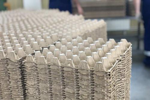 Использование яичных лотков. 5 интересных способов использования яичных лотков в быту