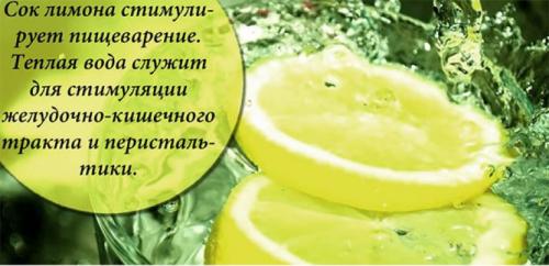 Вода с лимоном пропорции. Свойства лимонной воды