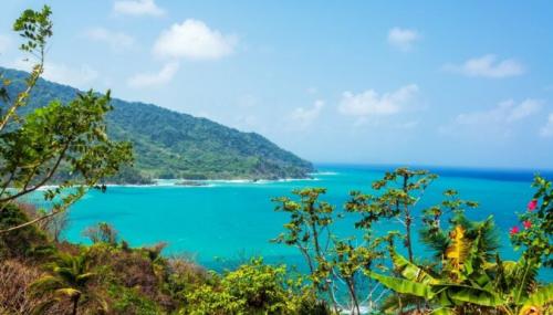 Как уехать на пмж на острова. APP - Article Actions