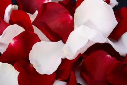 Белая мебель белые стены. Белая мебель —, как выбрать цвет стен: 11 сюжетов для вдохновения + 42 примера