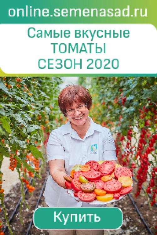 Дачный креатив своими руками. Креатив на дачном участке: где взять вдохновение