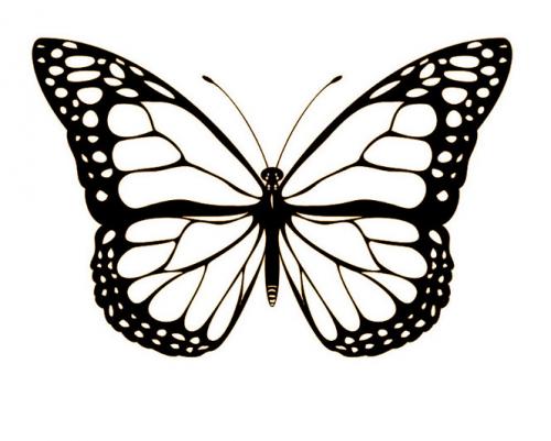 Бабочки своими руками на улицу. Ах, эти бабочки! Великолепное украшение для дома своими руками, причём за копейки…