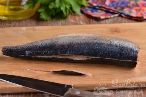 Разделка селедки. Как разделать селедку на филе