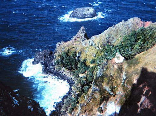 Жить и работать на островах. Этот остров удобен для россиян. Бесплатная земля. Питкэрн