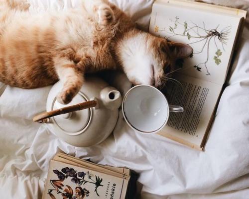 Обустраиваем квартиру своими руками. Как сделать съемную квартиру уютной: 5 советов