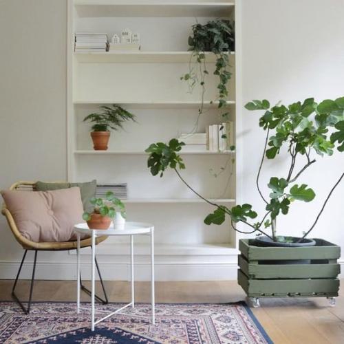 Обустраиваем квартиру своими руками. Как сделать съемную квартиру уютной: 5 советов