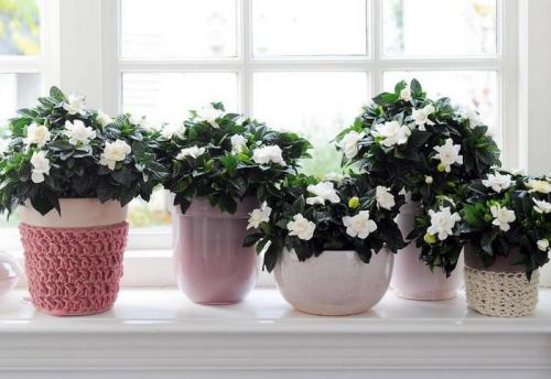 Как переделать бабушкину квартиру. ТОП 10 лайфхаков, как преобразить бабушкин интерьер без капиталовложений