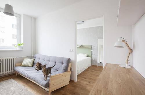 Ремонт однокомнатной квартиры студии. Ищем и выбираем недорогие строительные материалы для ремонта