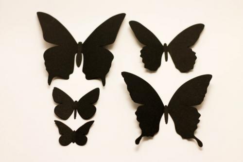 Бабочки из пластинок. Популярные и доступные материалы