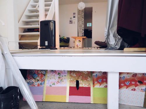 Токийские квартиры. Внутри японской квартиры