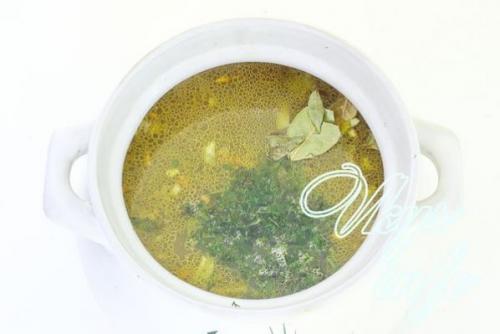 С чем едят зеленую чечевицу. Чем отличается красная чечевица от зеленой 08