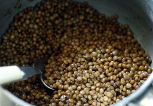 Чечевица зеленая рецепты гарнир. Как вкусно и просто приготовить чечевицу на гарнир