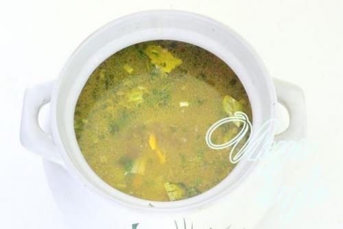 С чем едят зеленую чечевицу. Чем отличается красная чечевица от зеленой 09