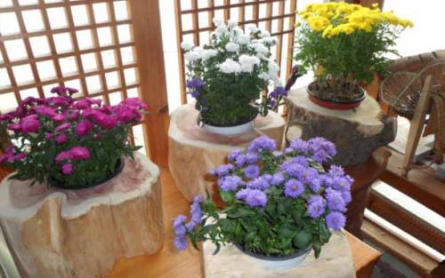 Обустроить балкон своими руками. Красивый балкон своими руками.