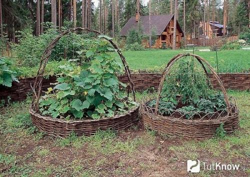 Ограждение для грядок своими руками. Заборчик из лозы для грядки своими руками